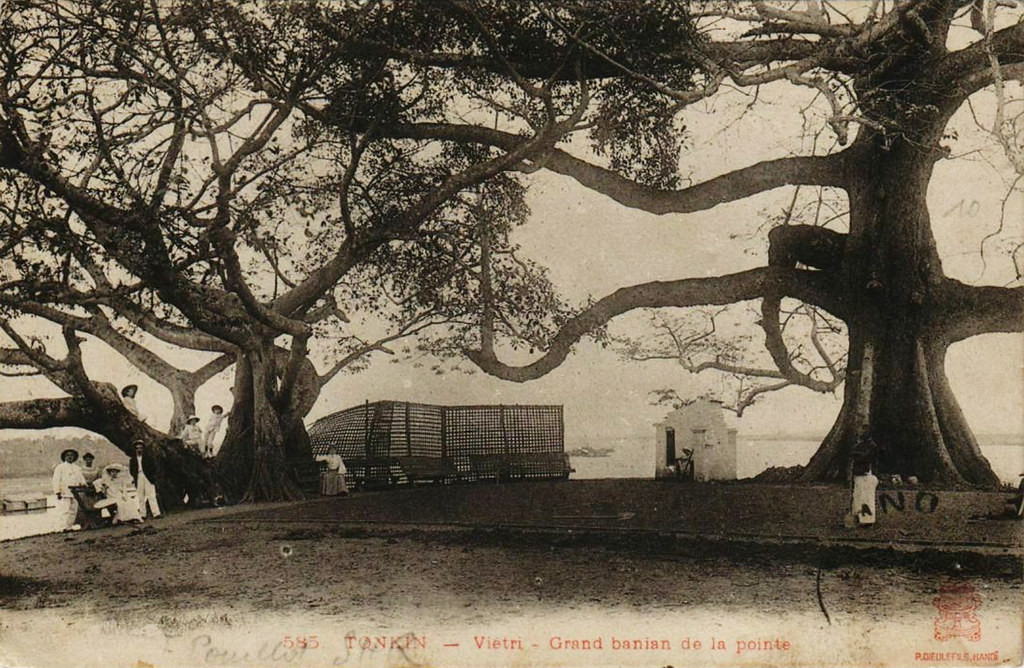 Người Pháp thư giãn trên mũi Tán Dóc, nơi có hai cây cổ thụ rất lớn và một ngôi miếu nhỏ.