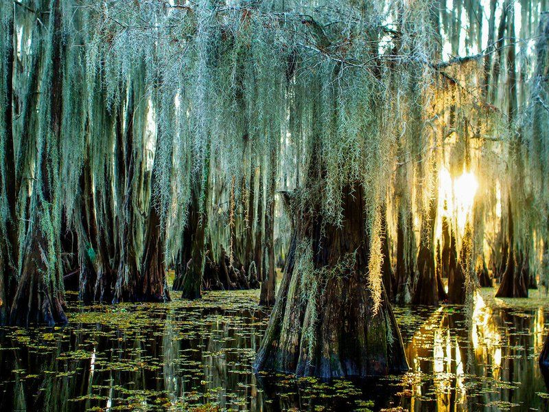 Vùng đầm này cũng trở thành khu bảo tồn được bảo vệ ở cấp độ quốc tế.