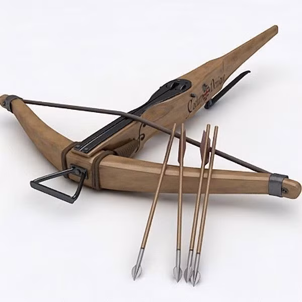 Lính nỏ Genoa hoạt động trên chiến trường Châu Âu cho tới khoảng thế kỷ 16. Họ chấm dứt sứ mệnh lịch sử của mình khi các loại súng hỏa mai trở nên phổ biến và trở thành vũ khí chính của các cuộc chiến tranh...