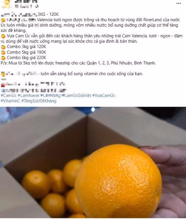 Su that cam Australia nhap khau ban sieu re day via he den cho mang