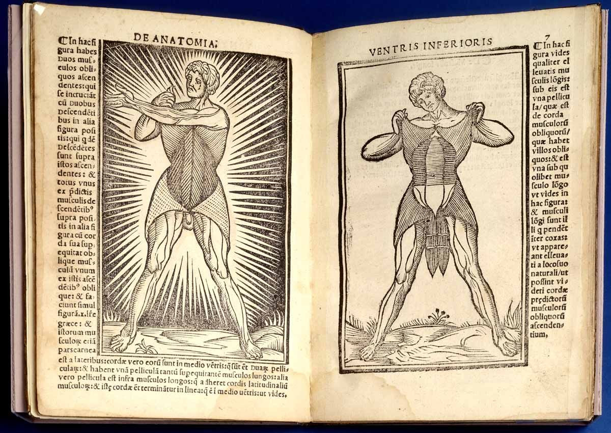 Cuối thế kỷ 15, khi giới y học ngày càng chối bỏ Galen, Loenardo da Vinci bắt đầu nghiên cứu giải phẫu học cơ thễ người. Thầy thuốc Italia Berengario da Carpi viết cuốn Anatomia Carpi, mở ra kỷ nguyên mới chú trọng đến việc quan sát trực tiếp cơ thể người.