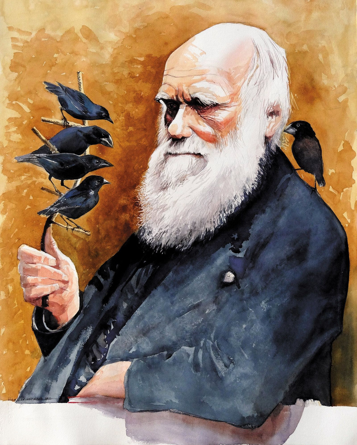 Giữa thế 19, giải phẫu học so sánh ra đời dưới ánh sáng thuyết Tiến hóa của Charles Darwin.