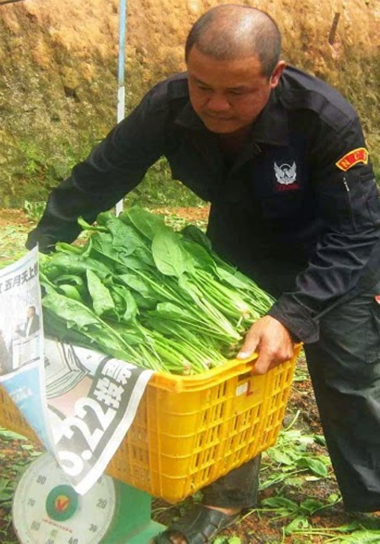 Hợp chất Flavonoid trong rau bó xôi có đặc tính phòng chống nhiều bệnh ung thư.