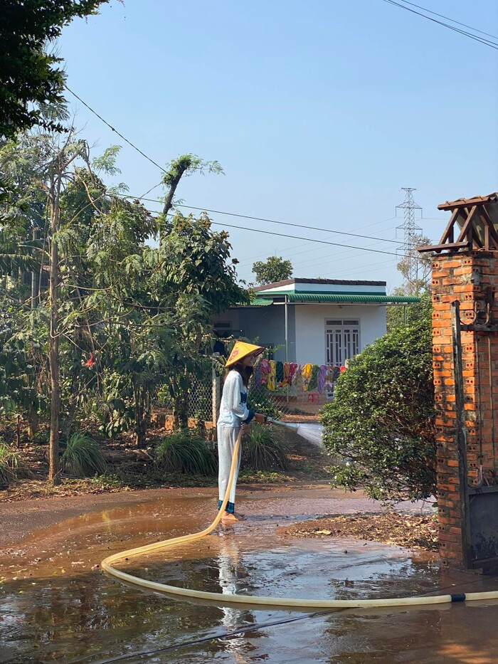 Tết Nhâm Dần, H'Hen Niê "chơi lớn" mua hơn nửa quả đồi tặng bố mẹ - Hình 5 Tet Nham Dan, H'Hen Nie