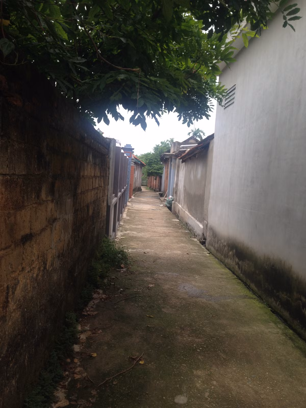 Con ngõ nơi xảy ra vụ việc.