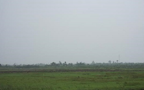 Cánh đồng Cây Chanh, nơi xảy ra việc người dân bán đất ruộng cho người ở địa phương khác.