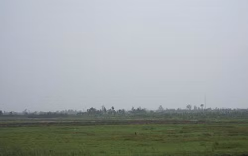 Cánh đồng Cây Chanh, nơi xảy ra việc người dân bán đất ruộng cho người ở địa phương khác.