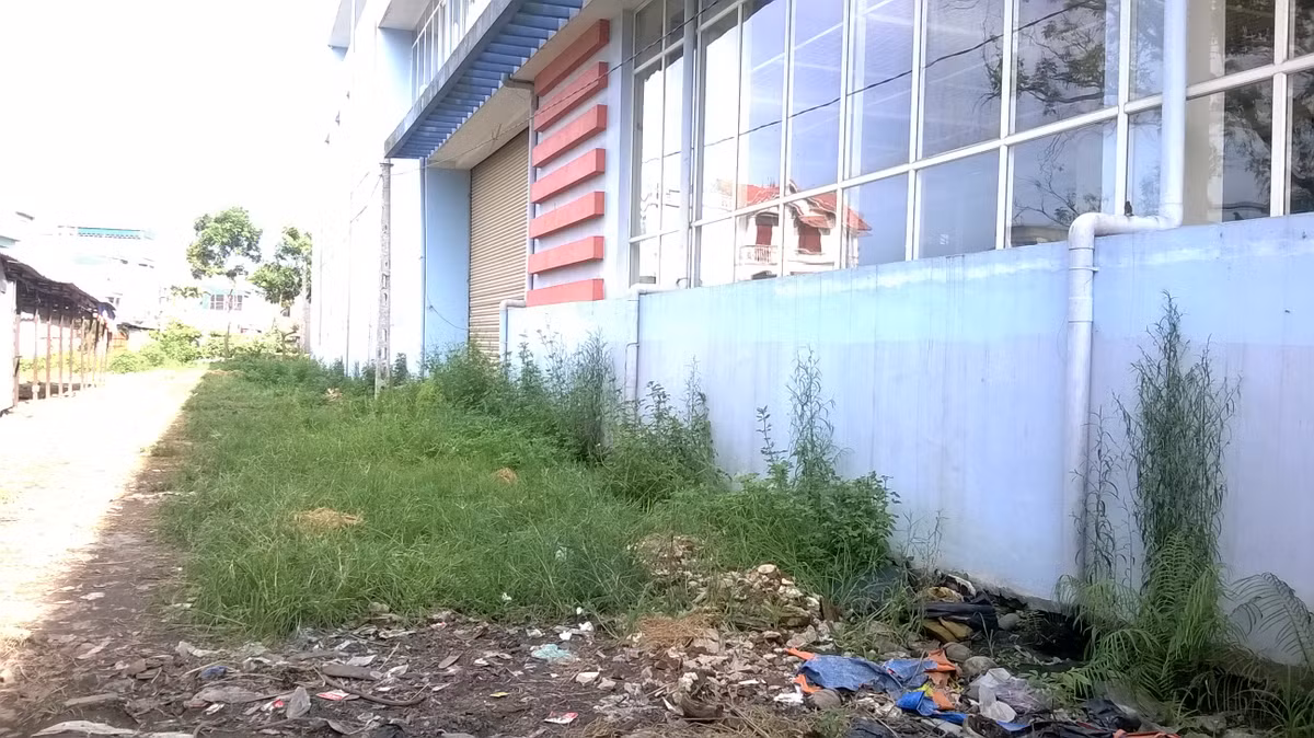 Cửa phụ vào siêu thị, cỏ dại mọc um tùm.