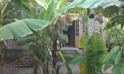 Nơi phát hiện vụ việc trên.