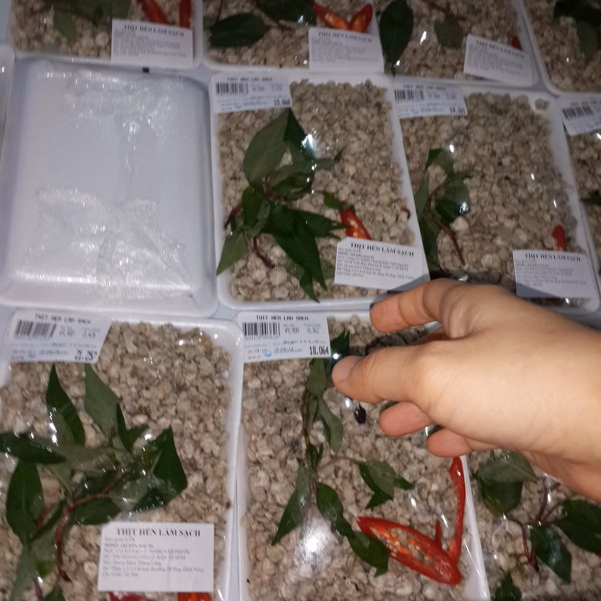 ... Khi lật mặt sau, cứ tưởng có tem nguồn gốc xuất xứ như đại diện Ocean Mart giải thích, nhưng hóa ra... không có. Ảnh chụp chiều tối 26/4.