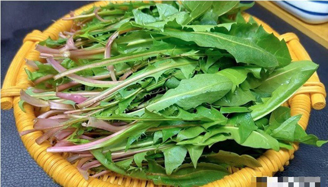 Loai cay moc hoang la vua thai doc, tot cho nguoi mac benh xuong khop