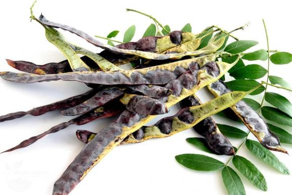 Bo ket co dung de uong duoc khong? Cong dung cua bo ket it nguoi biet-Hinh-2