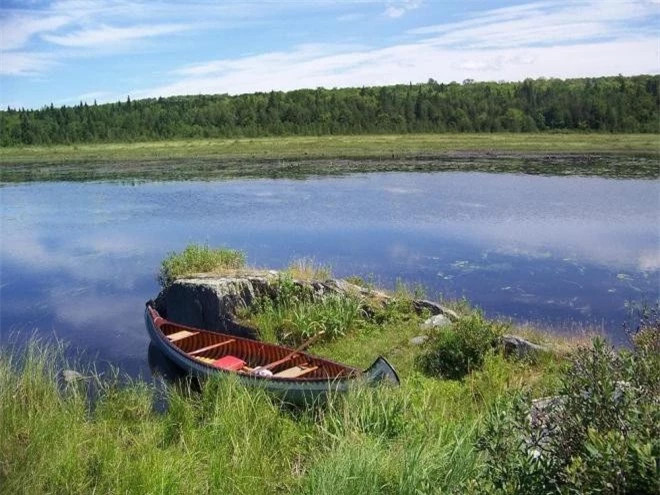 Song Amazon khung khiep voi con nguoi nhu the nao?-Hinh-2