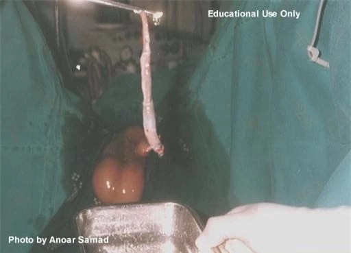 Song Amazon khung khiep voi con nguoi nhu the nao?-Hinh-15