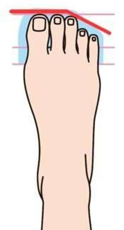 So huu diem nay tren ban chan, sinh ra da co so giau sang