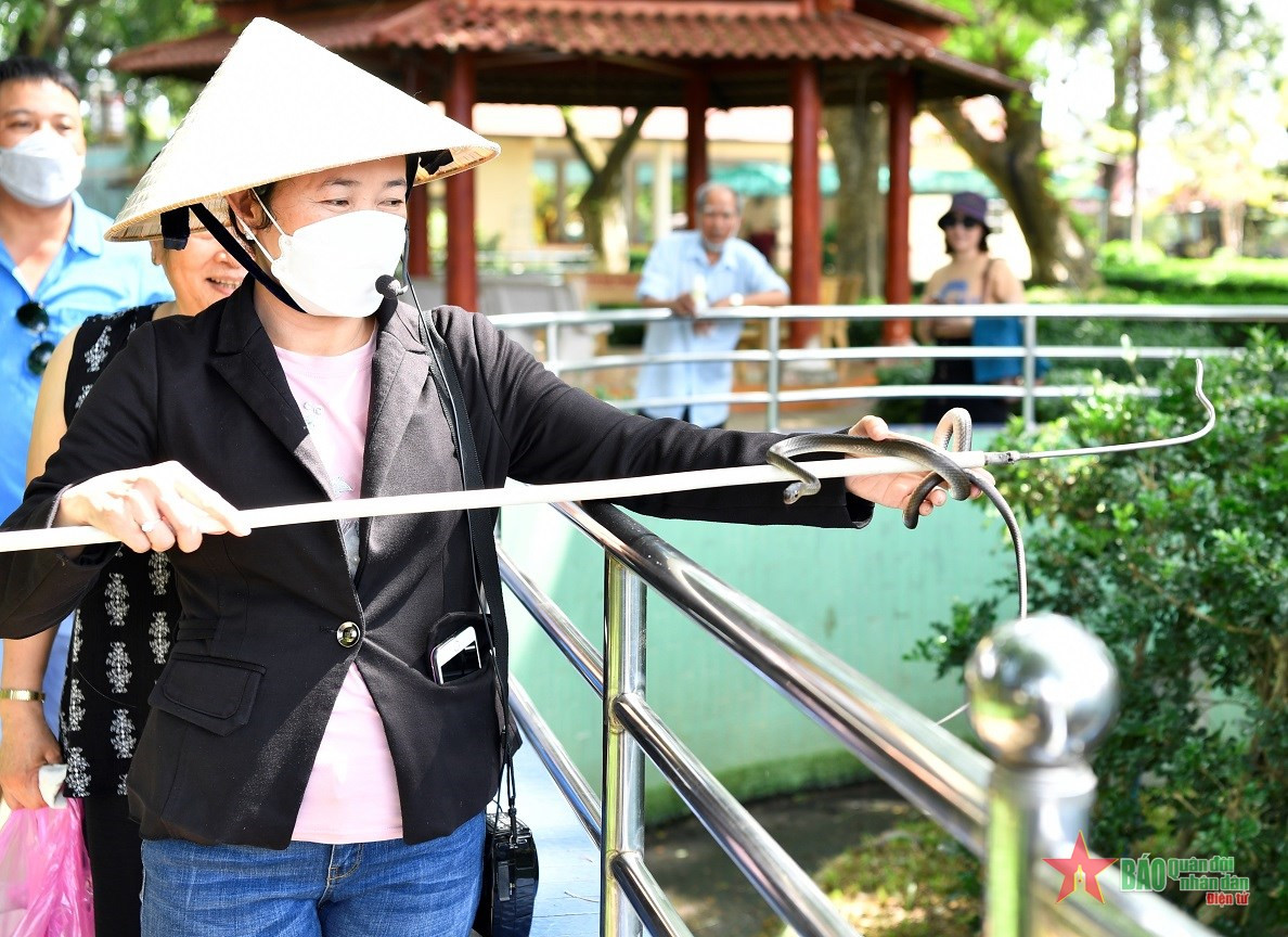 Giới thiệu đặc tính sinh trưởng của rắn cho khách tham quan.