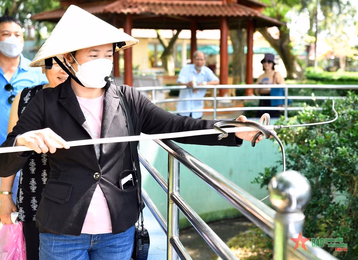 Giới thiệu đặc tính sinh trưởng của rắn cho khách tham quan.