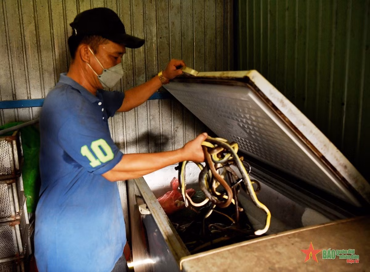 Thức ăn của rắn được bảo quản cẩn thận, an toàn vệ sinh thực phẩm.