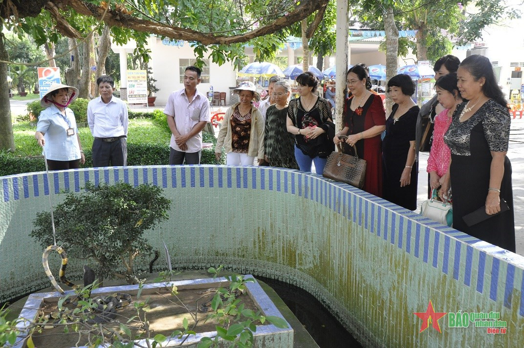 Khách tham quan thích thú khi được tận mắt chứng kiến nhiều loài rắn độc được chăm sóc, nuôi dưỡng.