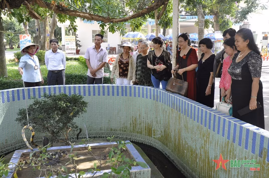 Khách tham quan thích thú khi được tận mắt chứng kiến nhiều loài rắn độc được chăm sóc, nuôi dưỡng.