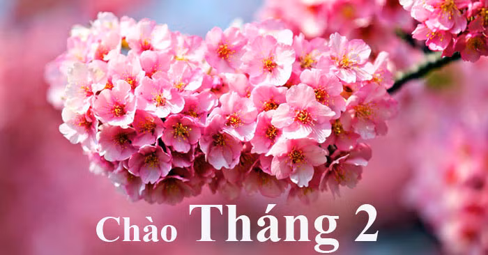  Tháng hai âm lịch. Những đứa trẻ có ngày sinh vào tháng 2 âm lịch đều là con trai, con gái. Họ sinh ra với bản tính hiền lành, ôn hòa và không có bản chất xấu xa hay bạo lực trong cuộc sống. 