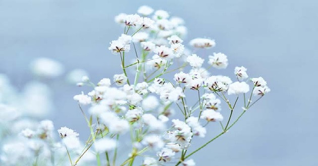 Tháng 11 âm lịch. Vào tháng 11, mọi người có khả năng tư duy tốt hơn, thích sử dụng trí não và tập thể dục. Họ từng bước tích lũy kinh nghiệm, bài học và không ngừng hoàn thiện bản thân. Tương lai rất hứa hẹn, quãng đời còn lại sẽ thuận buồm xuôi gió, hạnh phúc, thịnh vượng và giàu có! Đồng thời, nó còn có thể thúc đẩy sự phát triển của cả gia đình. 