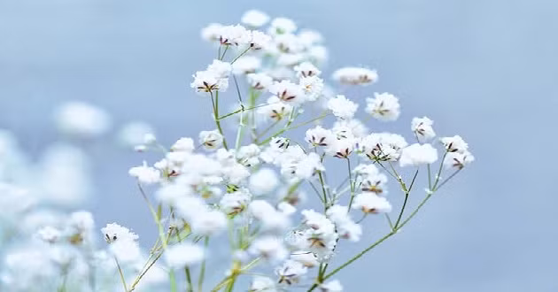 Tháng 11 âm lịch. Vào tháng 11, mọi người có khả năng tư duy tốt hơn, thích sử dụng trí não và tập thể dục. Họ từng bước tích lũy kinh nghiệm, bài học và không ngừng hoàn thiện bản thân. Tương lai rất hứa hẹn, quãng đời còn lại sẽ thuận buồm xuôi gió, hạnh phúc, thịnh vượng và giàu có! Đồng thời, nó còn có thể thúc đẩy sự phát triển của cả gia đình. 