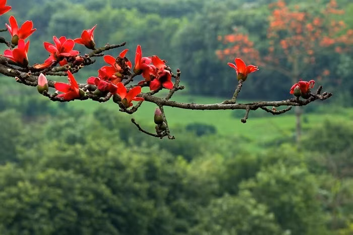 Tháng ba âm lịch. Những đứa trẻ sinh vào tháng 3 không phân biệt giới tính đều có vận mệnh tuyệt vời, đều là những người giàu có, phúc lộc, không chỉ là con cháu cha mẹ cao quý mà chỉ cần dám ra ngoài kiếm sống, nhất định sẽ làm được thứ gì đó của riêng mình. Thế giới sẽ giàu có hơn và các gia đình sẽ giàu có hơn. Trẻ em sinh vào tháng này rất may mắn. 