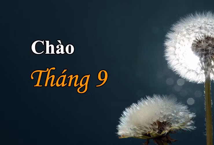  Tháng 9 âm lịch. Những người có tài năng, tính cách nổi bật và phẩm chất lãnh đạo. Người sinh vào tháng 9 âm lịch có phước lành sâu sắc nhất trong cuộc đời và vận mệnh giàu có nhất. Họ không phải lo lắng về cơm ăn, áo mặc và có sự nghiệp thành công. Họ là những người nở muộn. Sau tuổi trung niên, bạn sẽ có vận may tài chính tốt và sự nghiệp thịnh vượng. 