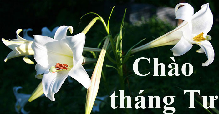 Mặc dù bạn có thể phải trải qua một số khó khăn nhưng cuối cùng bạn cũng có thể đạt được mục tiêu cuộc sống của mình và sống một cuộc sống thịnh vượng. Điều may mắn hơn là khi lớn lên, họ ngày càng giàu có, thật đáng ghen tị.