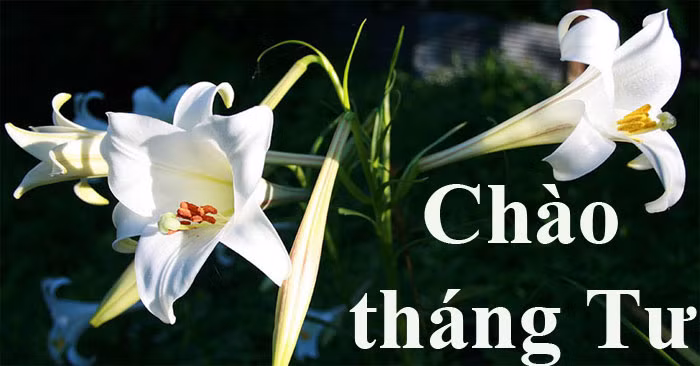 Mặc dù bạn có thể phải trải qua một số khó khăn nhưng cuối cùng bạn cũng có thể đạt được mục tiêu cuộc sống của mình và sống một cuộc sống thịnh vượng. Điều may mắn hơn là khi lớn lên, họ ngày càng giàu có, thật đáng ghen tị.