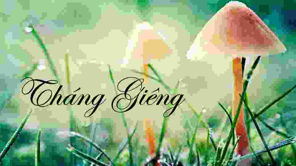 Nếu bạn sinh ra trong một gia đình nghèo, điều đó sẽ giúp cải thiện vận may của gia đình và khiến bạn trở nên giàu có. Nếu bạn sinh ra trong một gia đình giàu có, bạn sẽ giúp gia đình mình tích lũy của cải và trở nên giàu có. Những người sinh con vào tháng này sẽ gặp nhiều may mắn. 