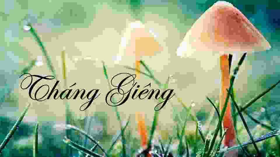 Nếu bạn sinh ra trong một gia đình nghèo, điều đó sẽ giúp cải thiện vận may của gia đình và khiến bạn trở nên giàu có. Nếu bạn sinh ra trong một gia đình giàu có, bạn sẽ giúp gia đình mình tích lũy của cải và trở nên giàu có. Những người sinh con vào tháng này sẽ gặp nhiều may mắn. 