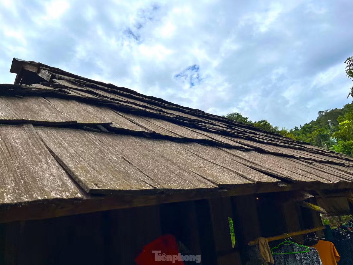 Những mái nhà lợp từ loại gỗ samu quý hiếm là điểm nhấn đặc biệt cho căn nhà.