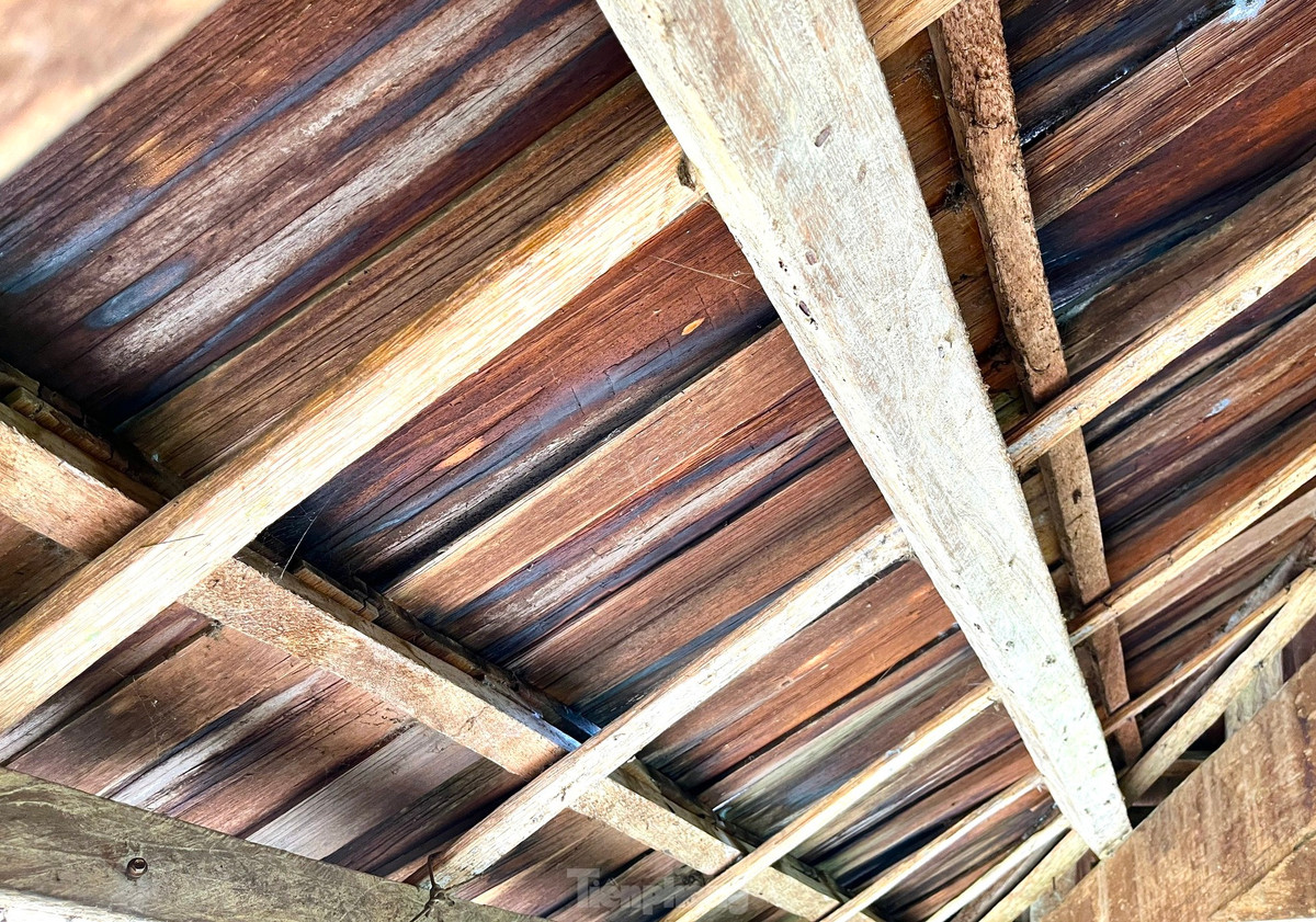 Loại gỗ samu này bền, có tinh dầu rất thơm đặc biệt không có mối mọt và có thể xua đuổi côn trùng, ruồi muỗi nên người dân rất thích. Trời nắng, nhiệt độ nóng làm cho các tấm gỗ samu trên mái nhà cong vênh, tạo ra những khe hở, có gió lùa vào trong nhà rất thoáng mát. Mùa đông mưa lạnh, những tấm gỗ trên mái co khít lại vừa che mưa, vừa chắn gió lạnh.