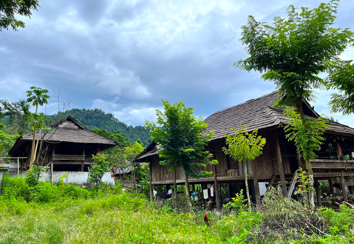 Hàng chục năm trước, đường đi lại khó khăn, người dân không thể ra ngoài vận chuyển vật liệu về làm nhà nên vào rừng chặt gỗ, dựng nhà sàn. Phát hiện loại gỗ samu có nhiều tinh dầu, bền và có mùi thơm nên người dân đã chặt về, chẻ mỏng để lợp nhà thay lá cọ.