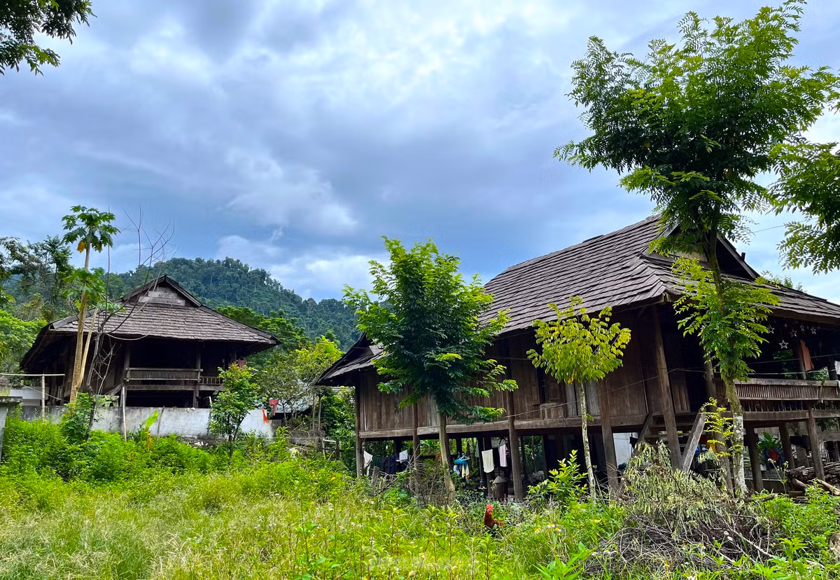 Hàng chục năm trước, đường đi lại khó khăn, người dân không thể ra ngoài vận chuyển vật liệu về làm nhà nên vào rừng chặt gỗ, dựng nhà sàn. Phát hiện loại gỗ samu có nhiều tinh dầu, bền và có mùi thơm nên người dân đã chặt về, chẻ mỏng để lợp nhà thay lá cọ.