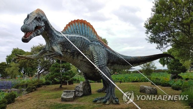 Sieu bao ap sat, Nhat Ban so tan dan, huy hang loat chuyen bay-Hinh-9