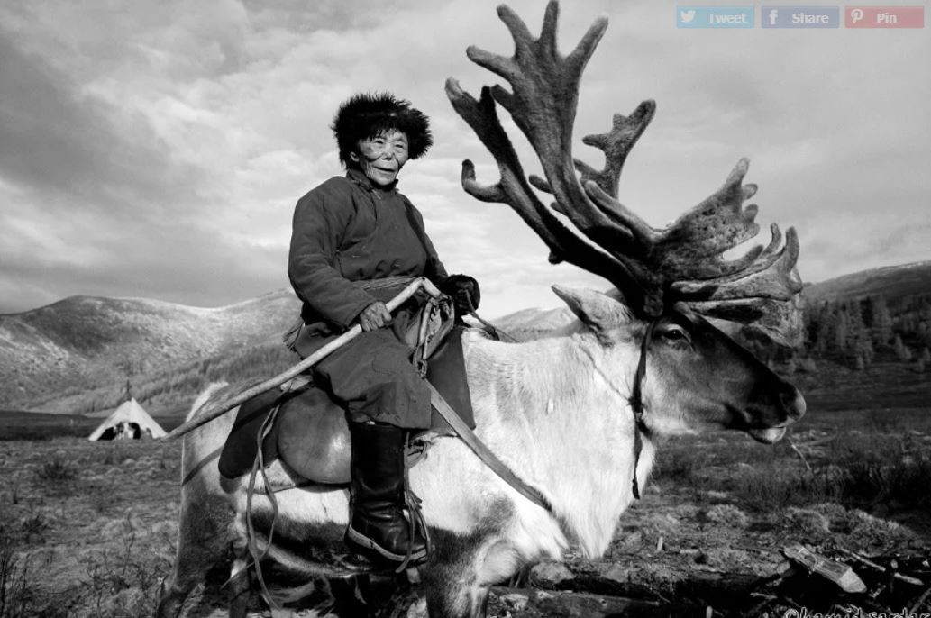 10 bo toc nao co nguy co tuyet chung nhat the gioi?-Hinh-8