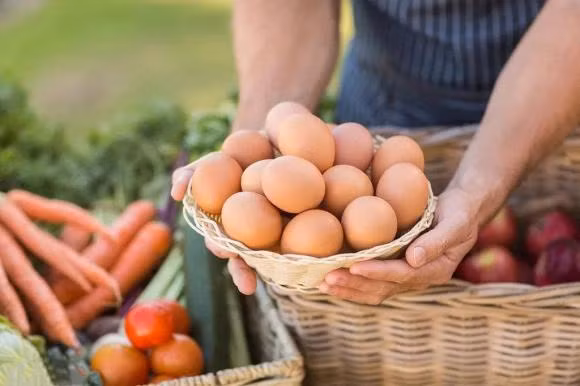 An trung vao buoi sang tot hay xau cho co the?