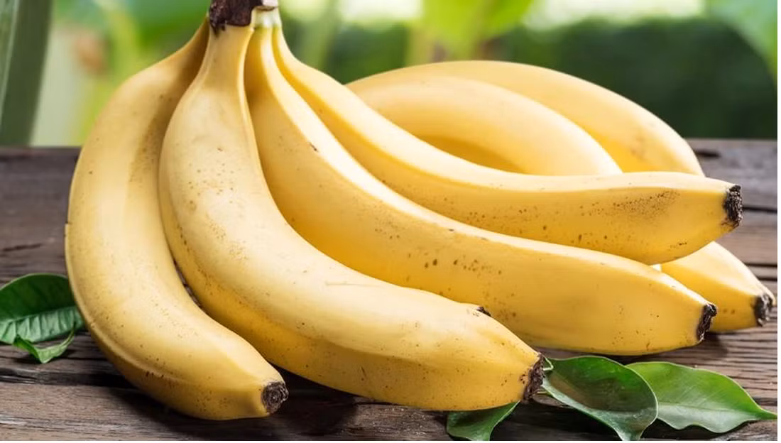 Vị thuốc tự nhiên, dễ tìm, chữa bệnh tiêu hóa Vi thuoc tu nhien, de tim, chua benh tieu hoa