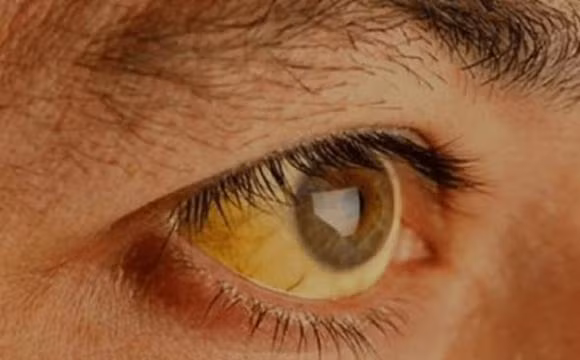 Nguoi dan ong chi uong nuoc moi sang suot 22 nam qua doi-Hinh-4