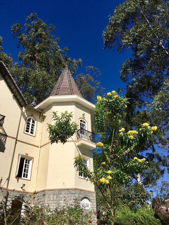 Biet thu chau Au 20 tuoi o Da Lat hoa xu so than tien-Hinh-6