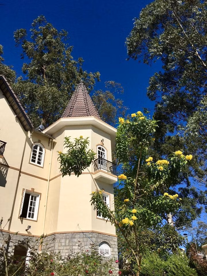 Biet thu chau Au 20 tuoi o Da Lat hoa xu so than tien-Hinh-6