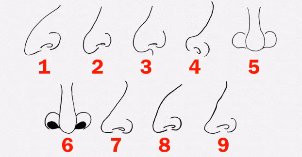 Mũi hếch. Mũi nằm ở trung tâm khuôn mặt, được coi là kho tài lộc của mỗi người. Đàn ông sở hữu dáng mũi thấp và hếch là người thiếu quyết đoán, hay do dự. Người này sống không có dũng khí, dễ bị ảnh hưởng bởi những tác động xung quanh.