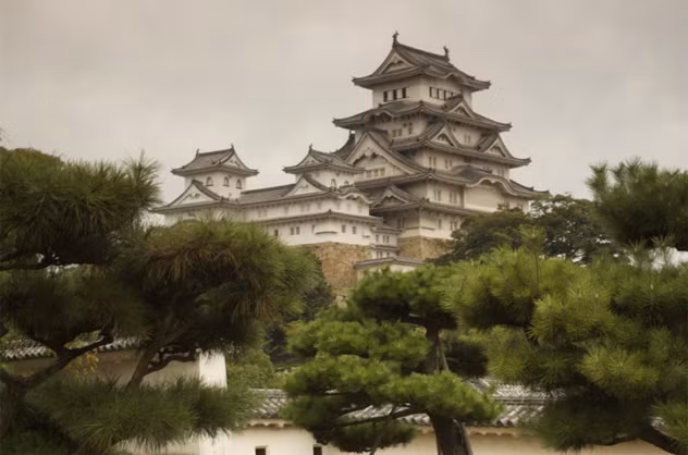 3. Tomo Sukesada. Tomo Sukesada là một thủ lĩnh Ninja ở Koga và là người đứng đầu Tomo Ryu. Năm 1562, Tokugawa Ieyasu làm việc dưới trướng Oda Nobunaga – người đã khiến gia tộc Imagawa điêu đứng. Gia tộc này đã gặp thất bại trong trận chiến Okehazama 2 năm trước đó.