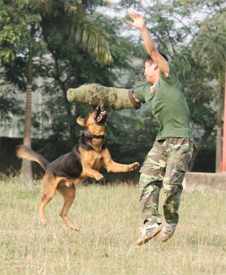 “Vũ khí sống” kiên quyết tấn công “địch”.