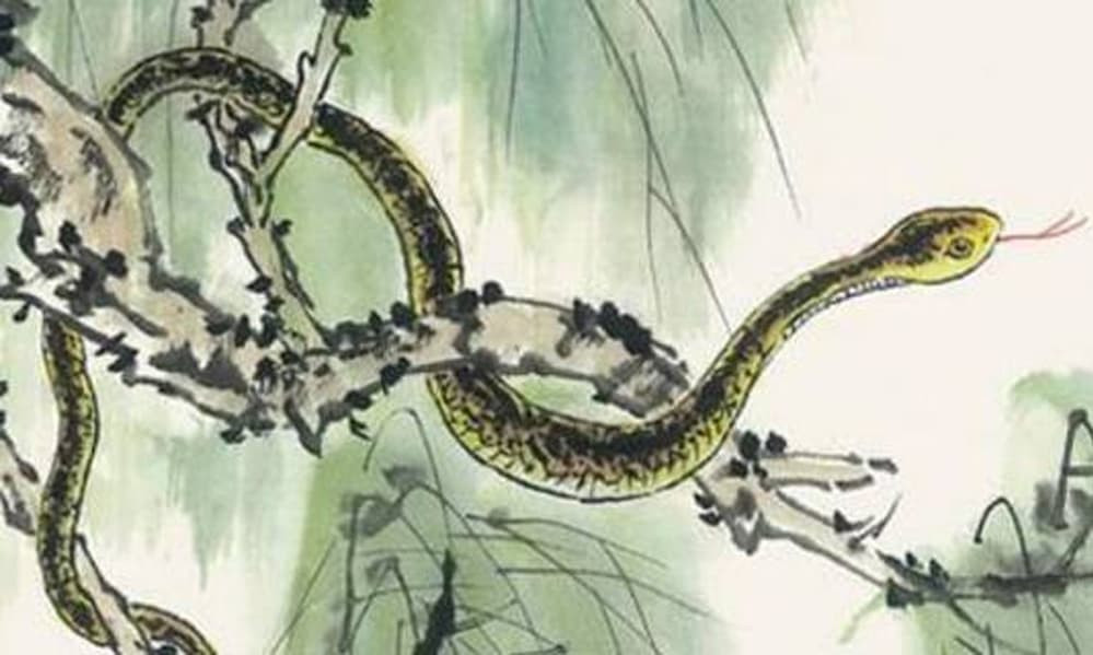 Người sinh năm Tỵ rất sáng suốt và khả năng thích nghi linh hoạt. Vào năm 2025, họ sẽ phải đối mặt với một số thách thức bất ngờ, nhưng những thách thức này cũng sẽ trở thành cơ hội để họ gia tăng tài sản.