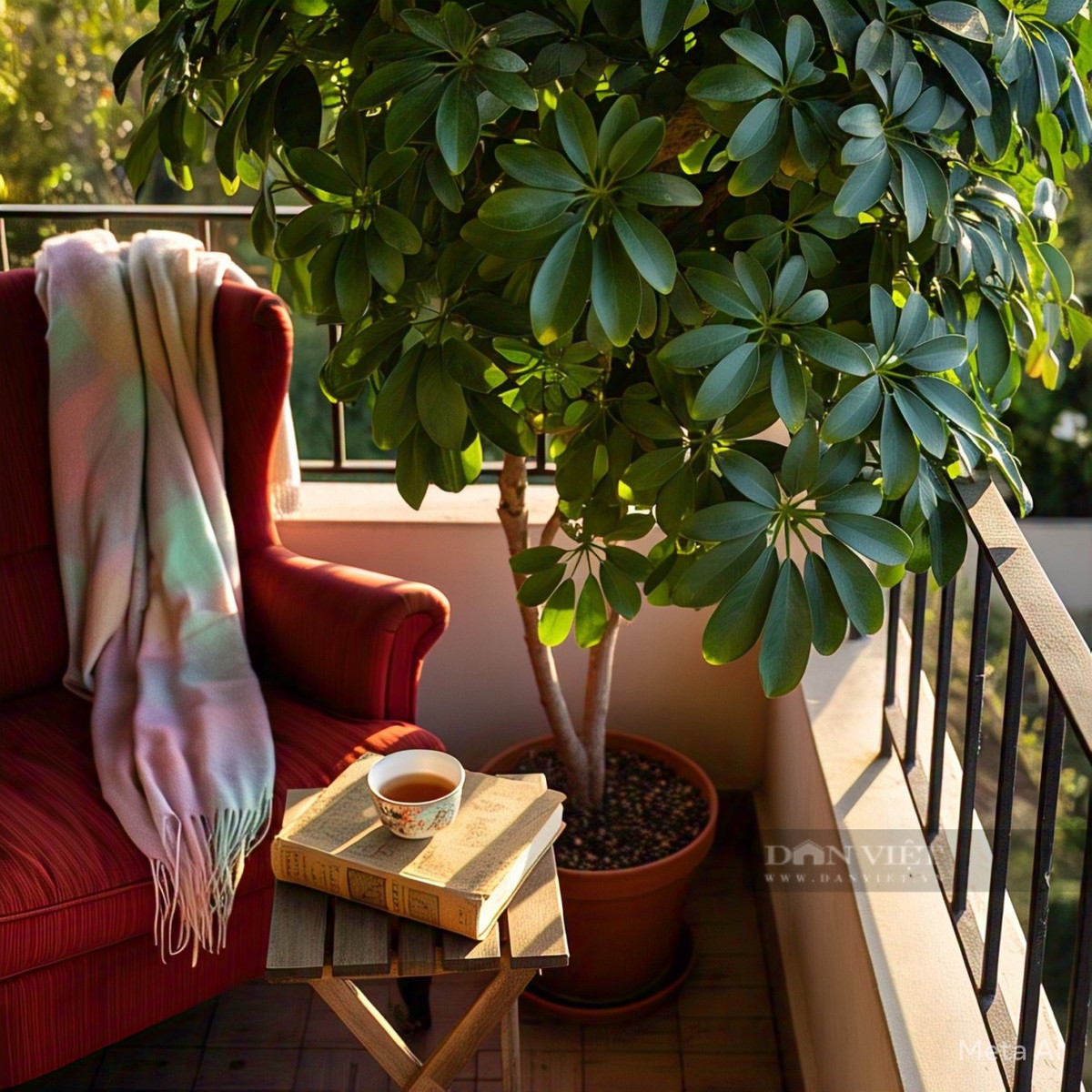  4 Sự kiên trì: Cây cảnh này có sức sống mạnh mẽ và khả năng thích nghi với môi trường tốt. Nó tượng trưng cho phẩm chất kiên trì, khả năng duy trì sức sống bền bỉ và phát triển không ngừng bất kể gặp phải khó khăn và thử thách nào. Hàm ý này có thể truyền cảm hứng cho mọi người duy trì niềm tin vững chắc và lòng can đảm, không dễ dàng bỏ cuộc khi gặp khó khăn trong cuộc sống. 