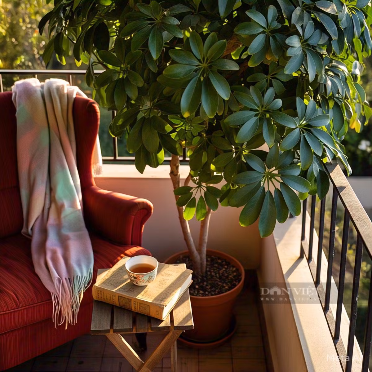  4 Sự kiên trì: Cây cảnh này có sức sống mạnh mẽ và khả năng thích nghi với môi trường tốt. Nó tượng trưng cho phẩm chất kiên trì, khả năng duy trì sức sống bền bỉ và phát triển không ngừng bất kể gặp phải khó khăn và thử thách nào. Hàm ý này có thể truyền cảm hứng cho mọi người duy trì niềm tin vững chắc và lòng can đảm, không dễ dàng bỏ cuộc khi gặp khó khăn trong cuộc sống. 